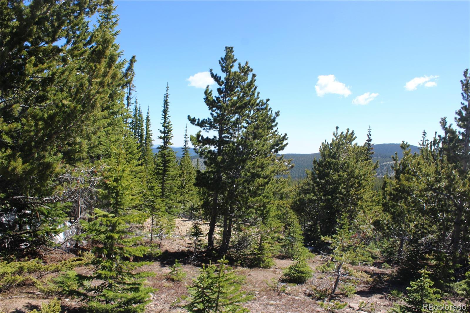 19420 Kingston Peak Road Black Hawk CO 80422