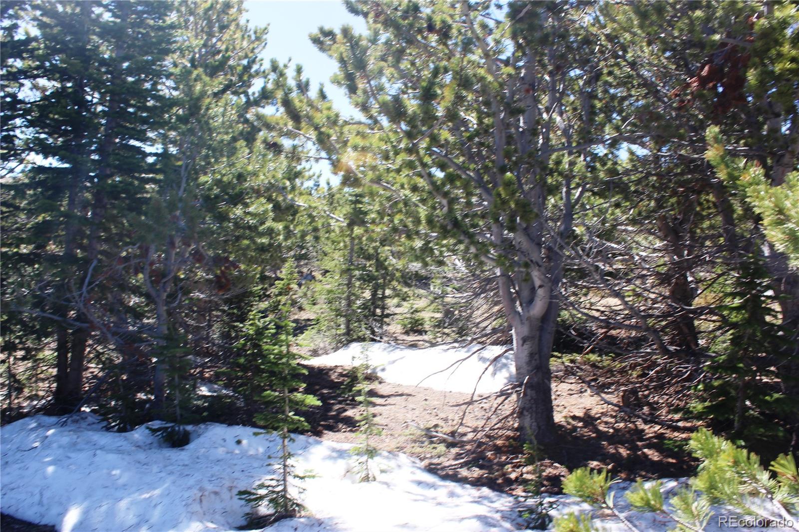 19420 Kingston Peak Road Black Hawk CO 80422