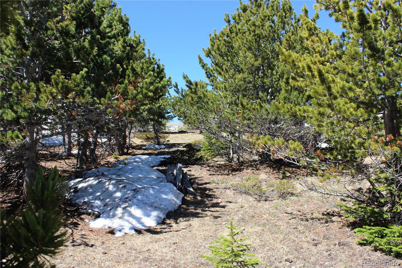 19420 Kingston Peak Road Black Hawk CO 80422