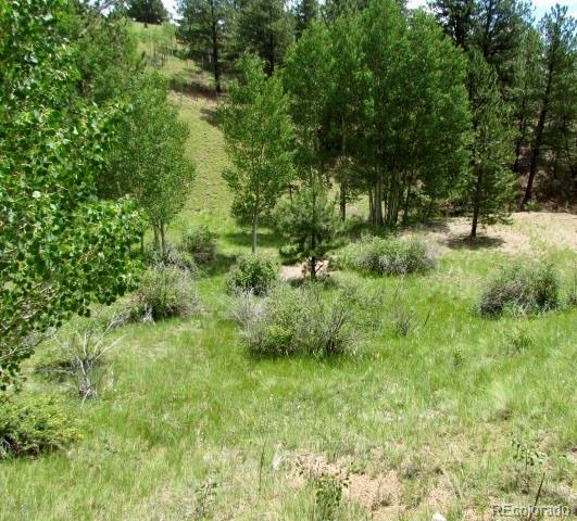407 El Paso Court Cripple Creek CO 80813