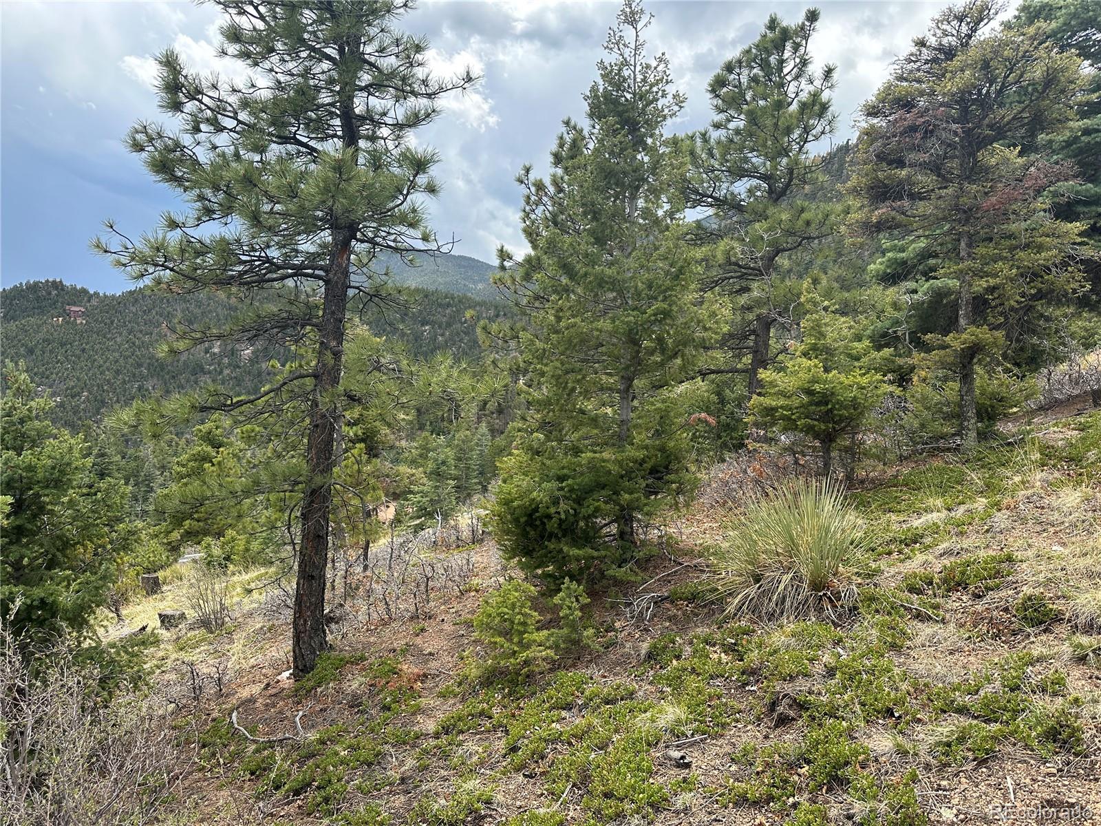 275 Upper Vista Road Manitou Springs CO 80829