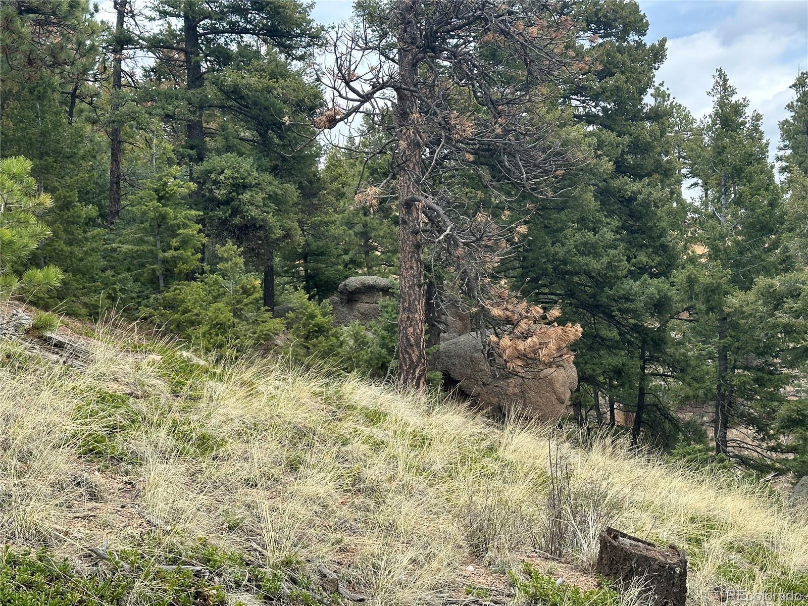 275 Upper Vista Road Manitou Springs CO 80829
