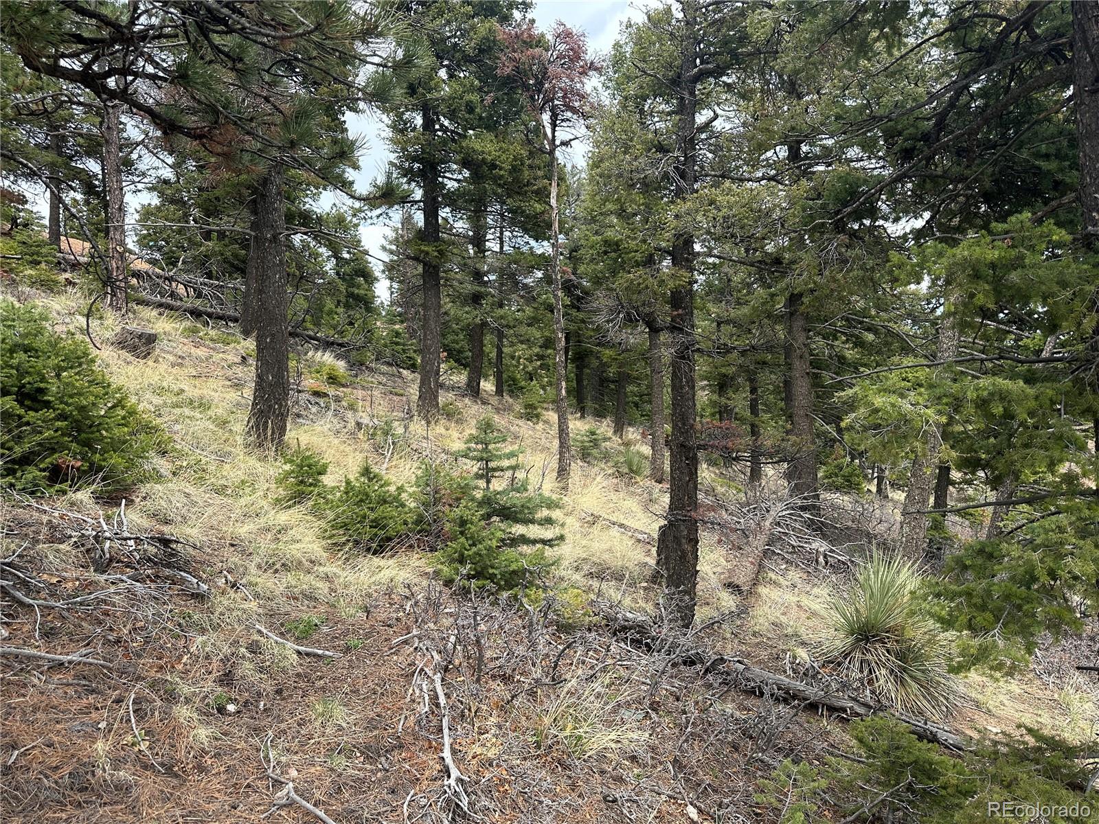 275 Upper Vista Road Manitou Springs CO 80829