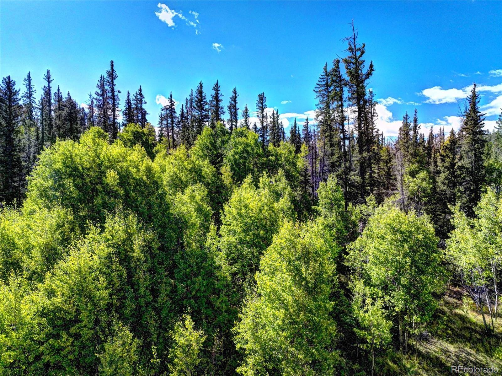 581 Longbow Drive Como CO 80432