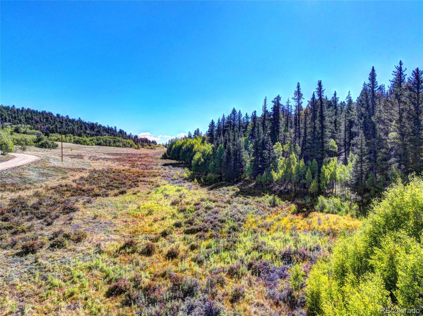 581 Longbow Drive Como CO 80432