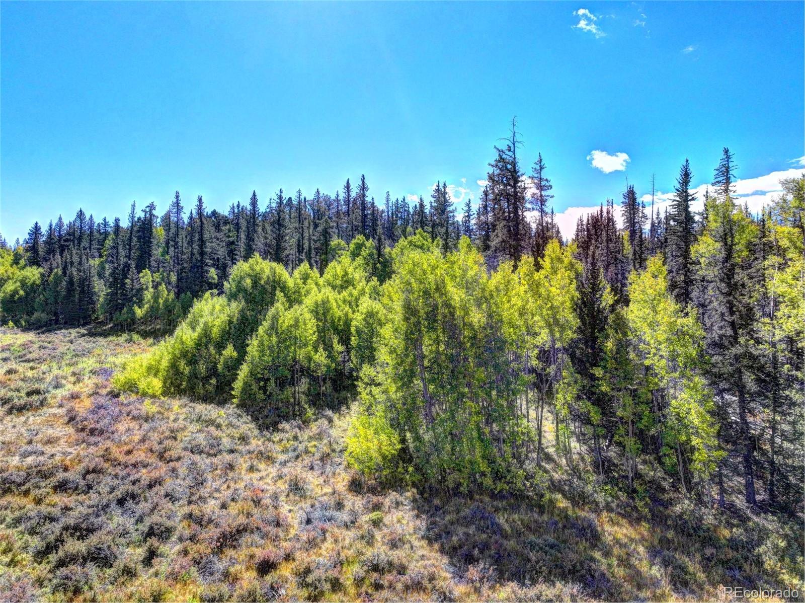 581 Longbow Drive Como CO 80432
