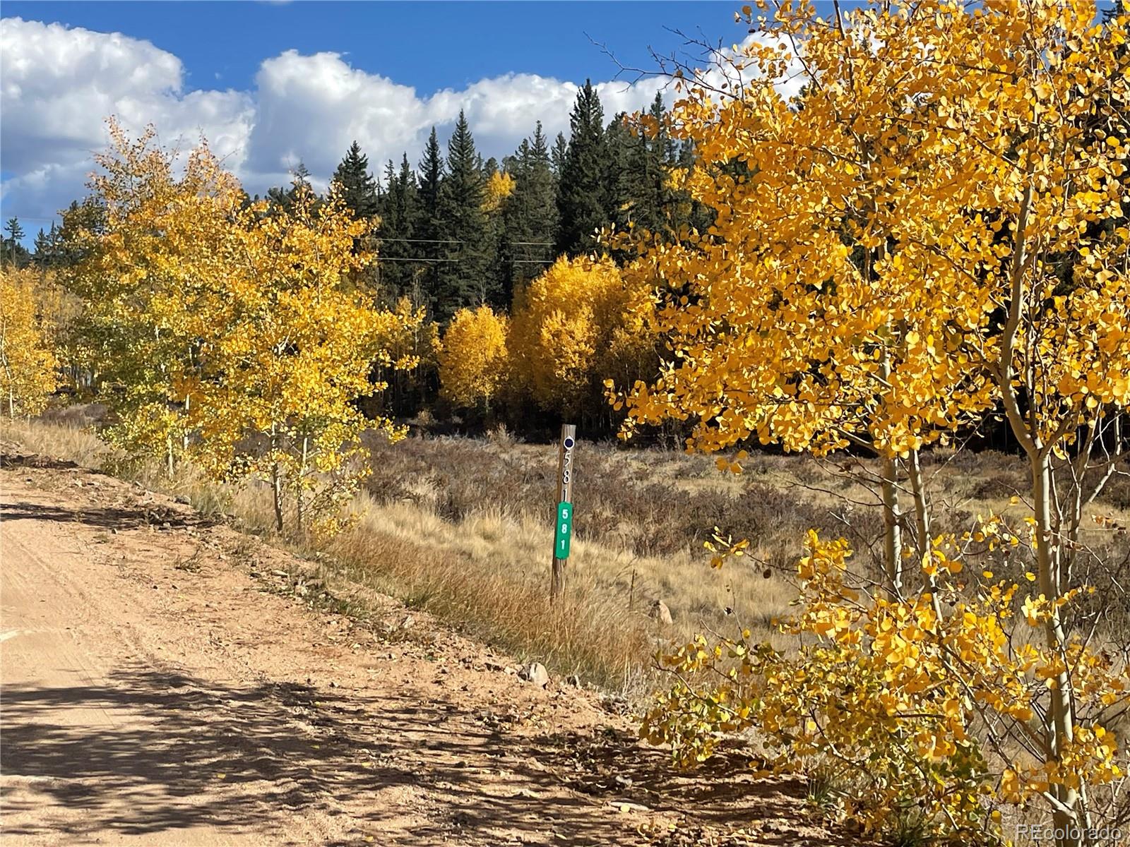 581 Longbow Drive Como CO 80432