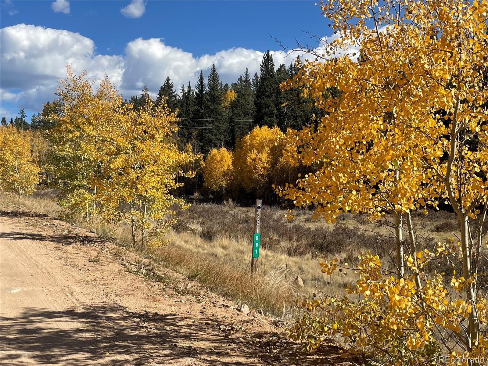 581 Longbow Drive Como CO 80432