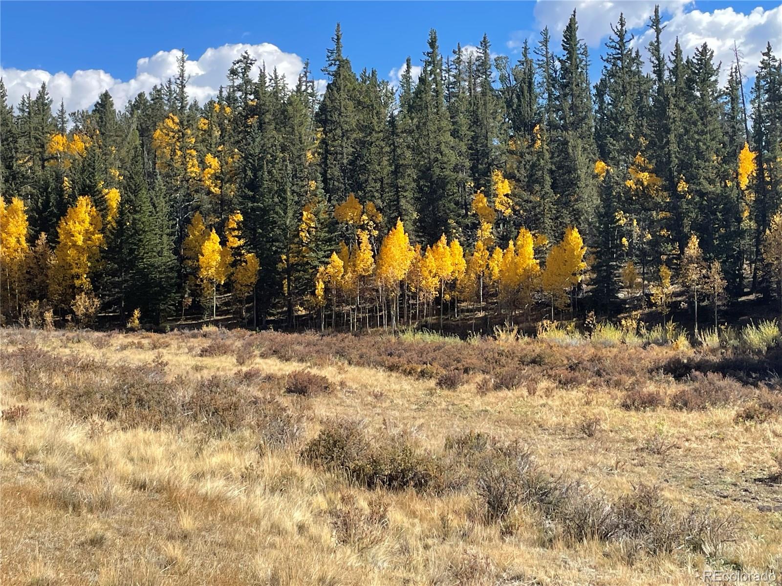 581 Longbow Drive Como CO 80432