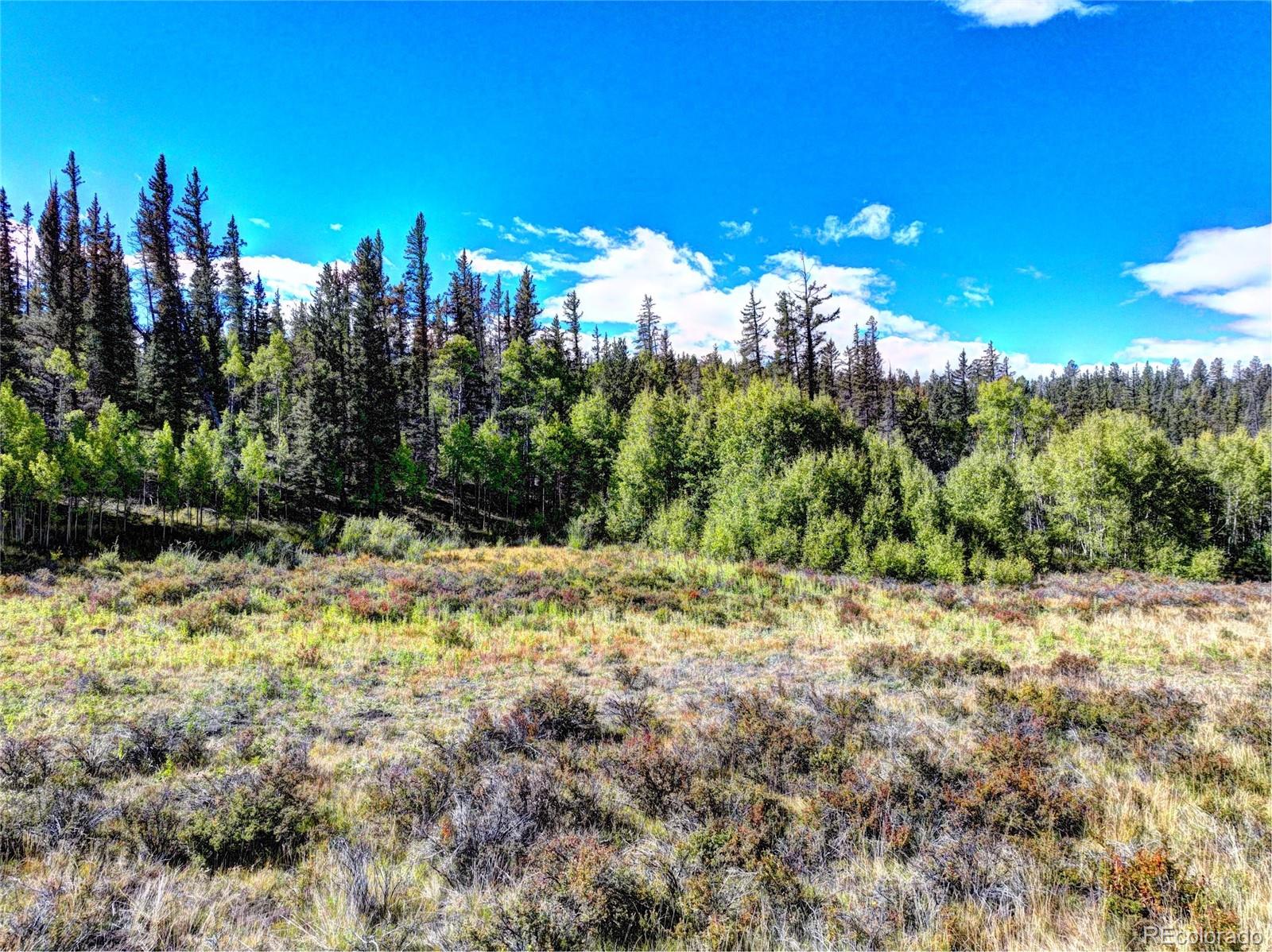 581 Longbow Drive Como CO 80432