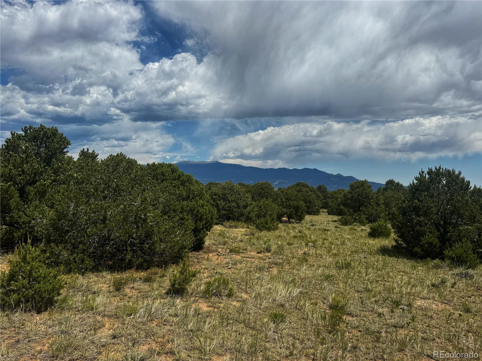 106 Colorado Land & Grazing Walsenburg CO 81089