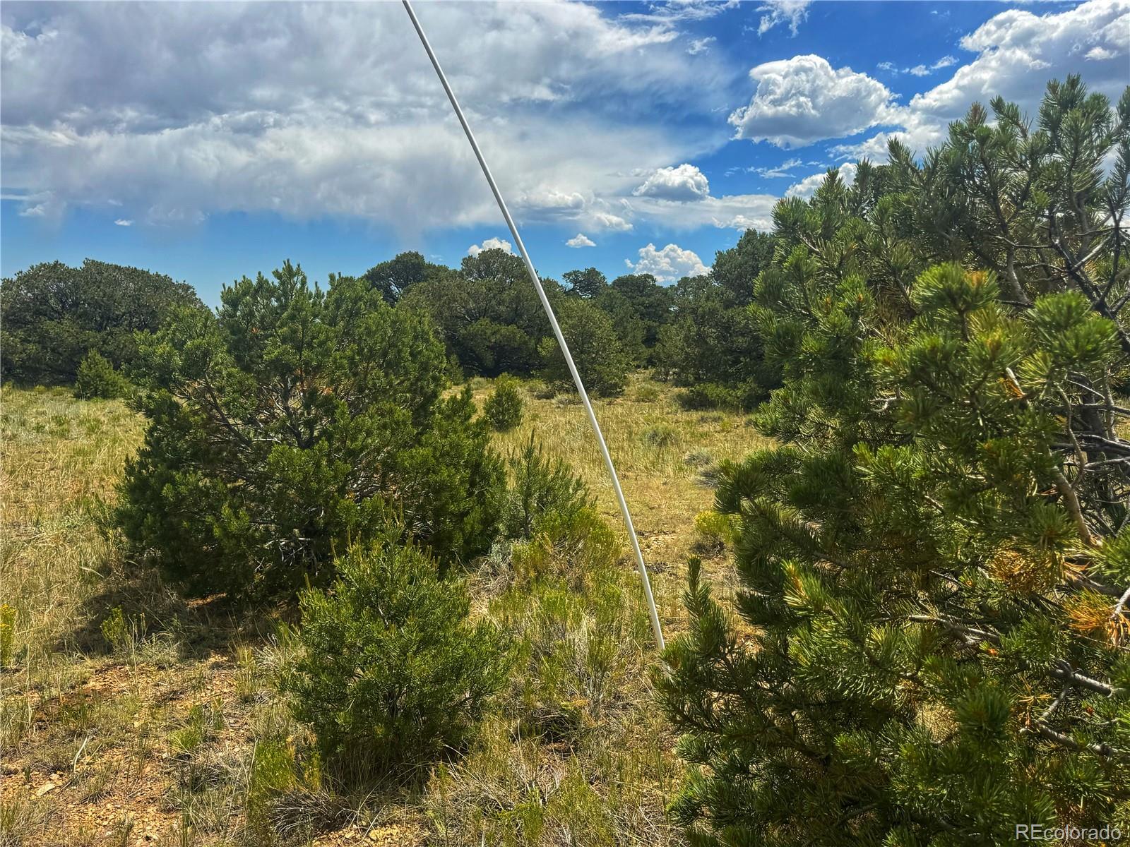 106 Colorado Land & Grazing Walsenburg CO 81089