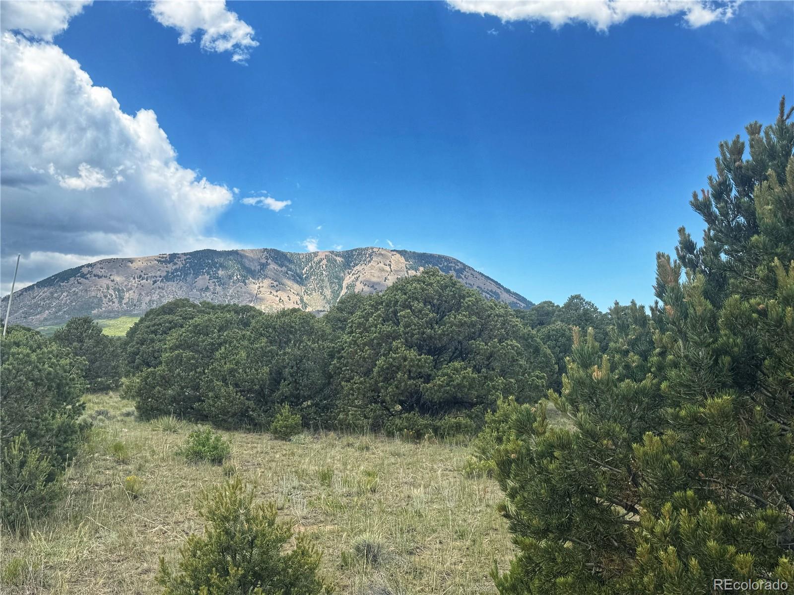106 Colorado Land & Grazing Walsenburg CO 81089