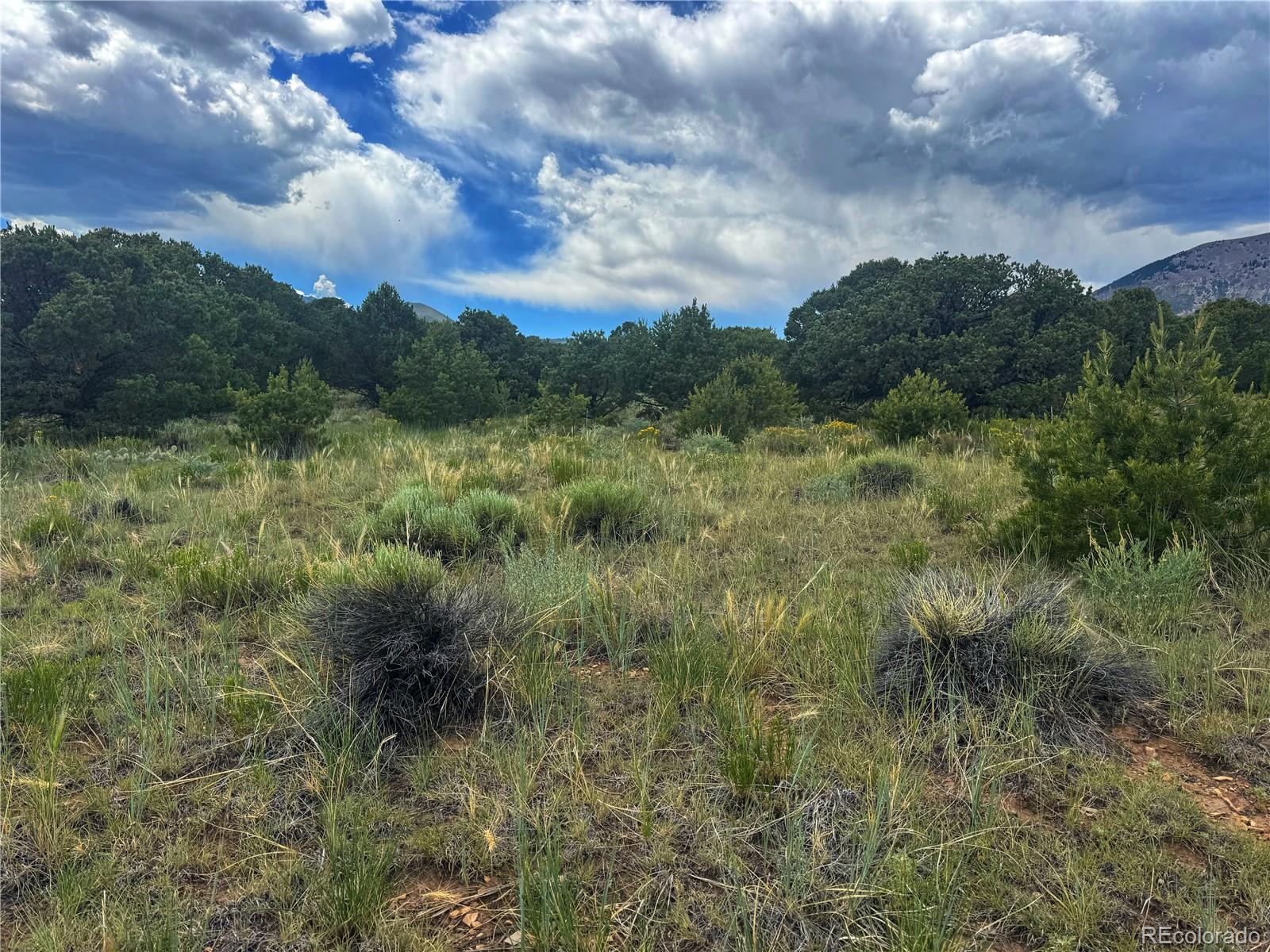 106 Colorado Land & Grazing Walsenburg CO 81089