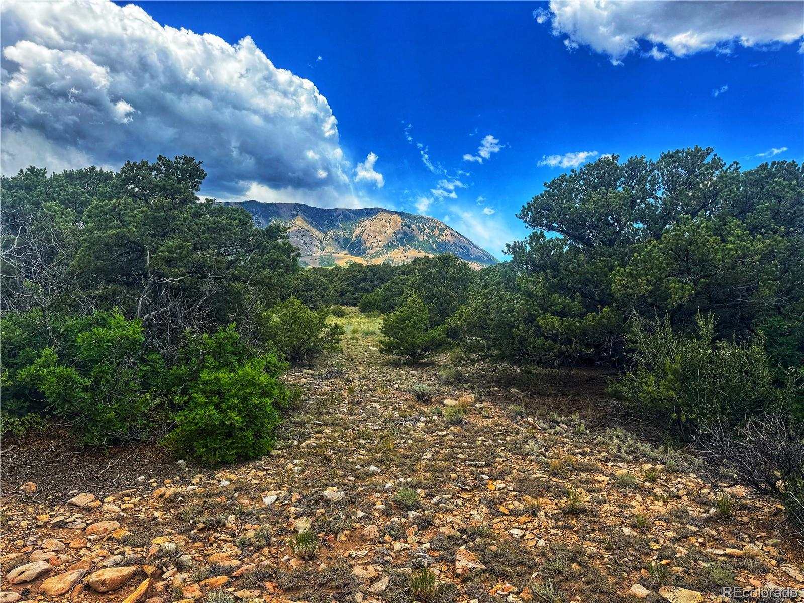 106 Colorado Land & Grazing Walsenburg CO 81089