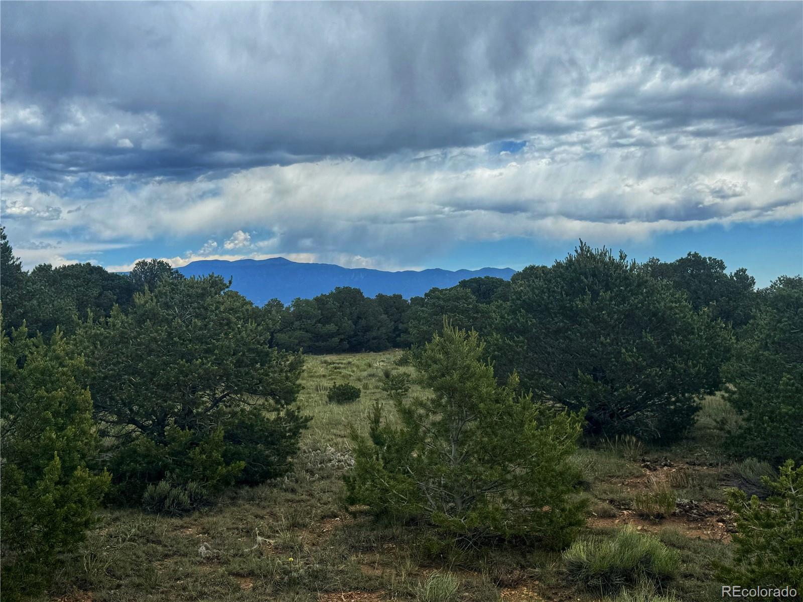 106 Colorado Land & Grazing Walsenburg CO 81089