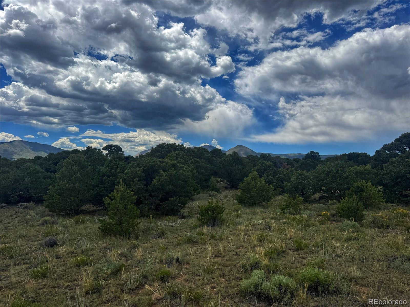 106 Colorado Land & Grazing Walsenburg CO 81089