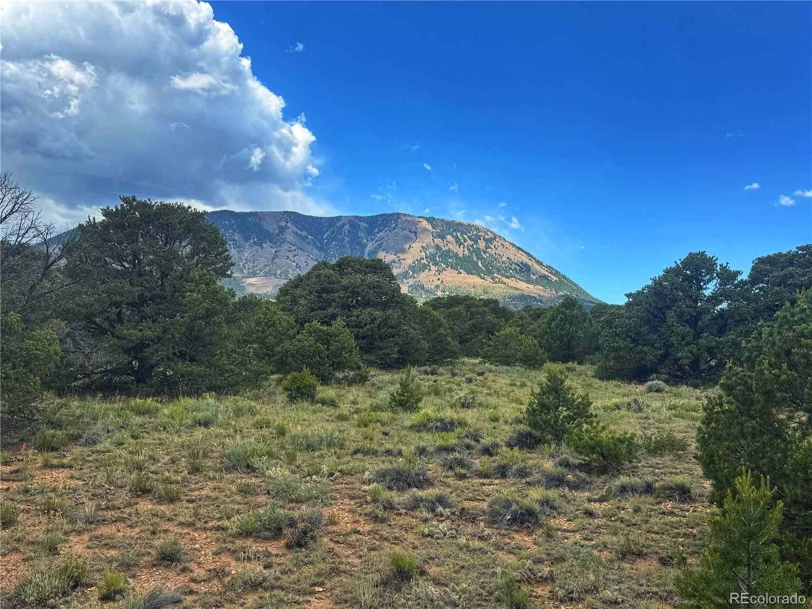 106 Colorado Land & Grazing Walsenburg CO 81089