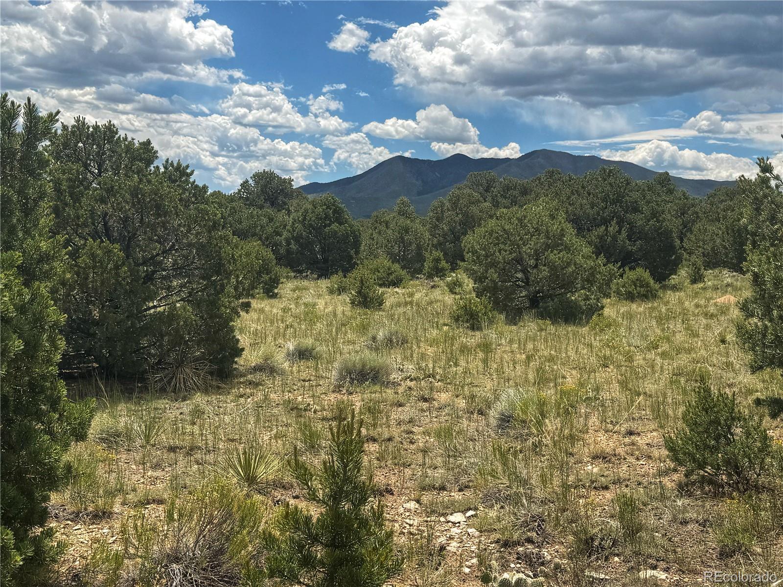 106 Colorado Land & Grazing Walsenburg CO 81089