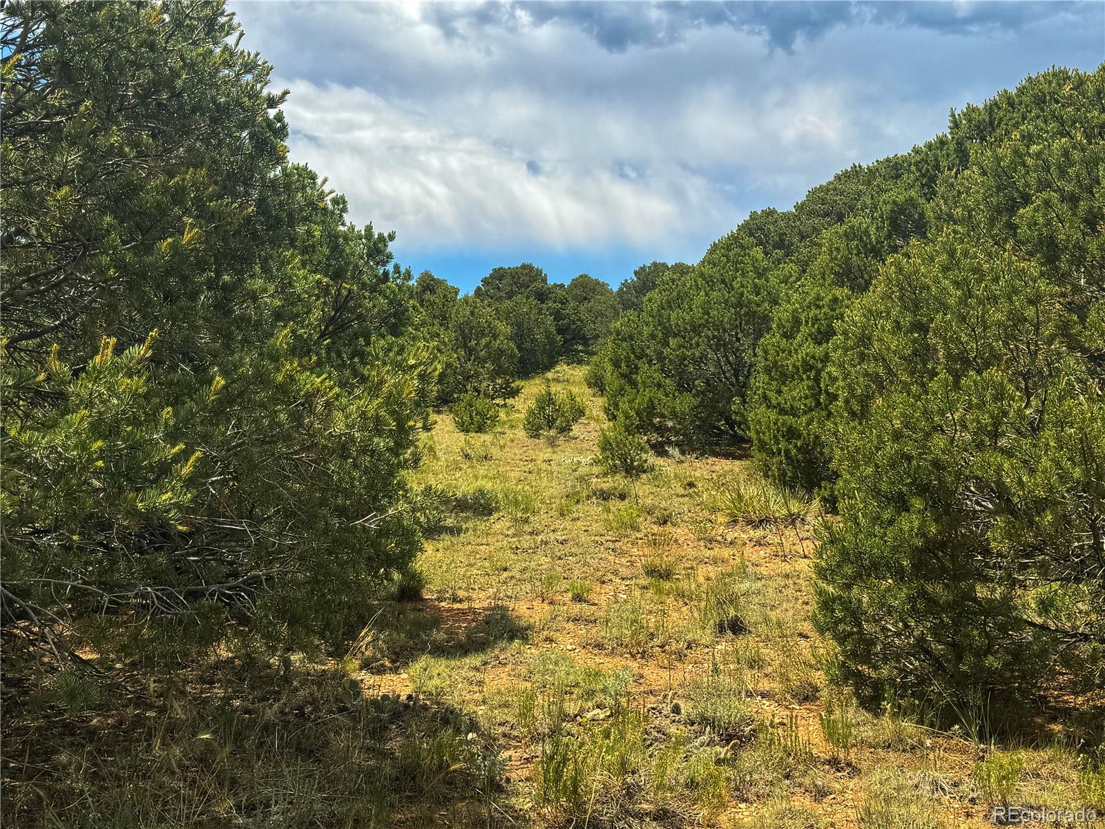 106 Colorado Land & Grazing Walsenburg CO 81089