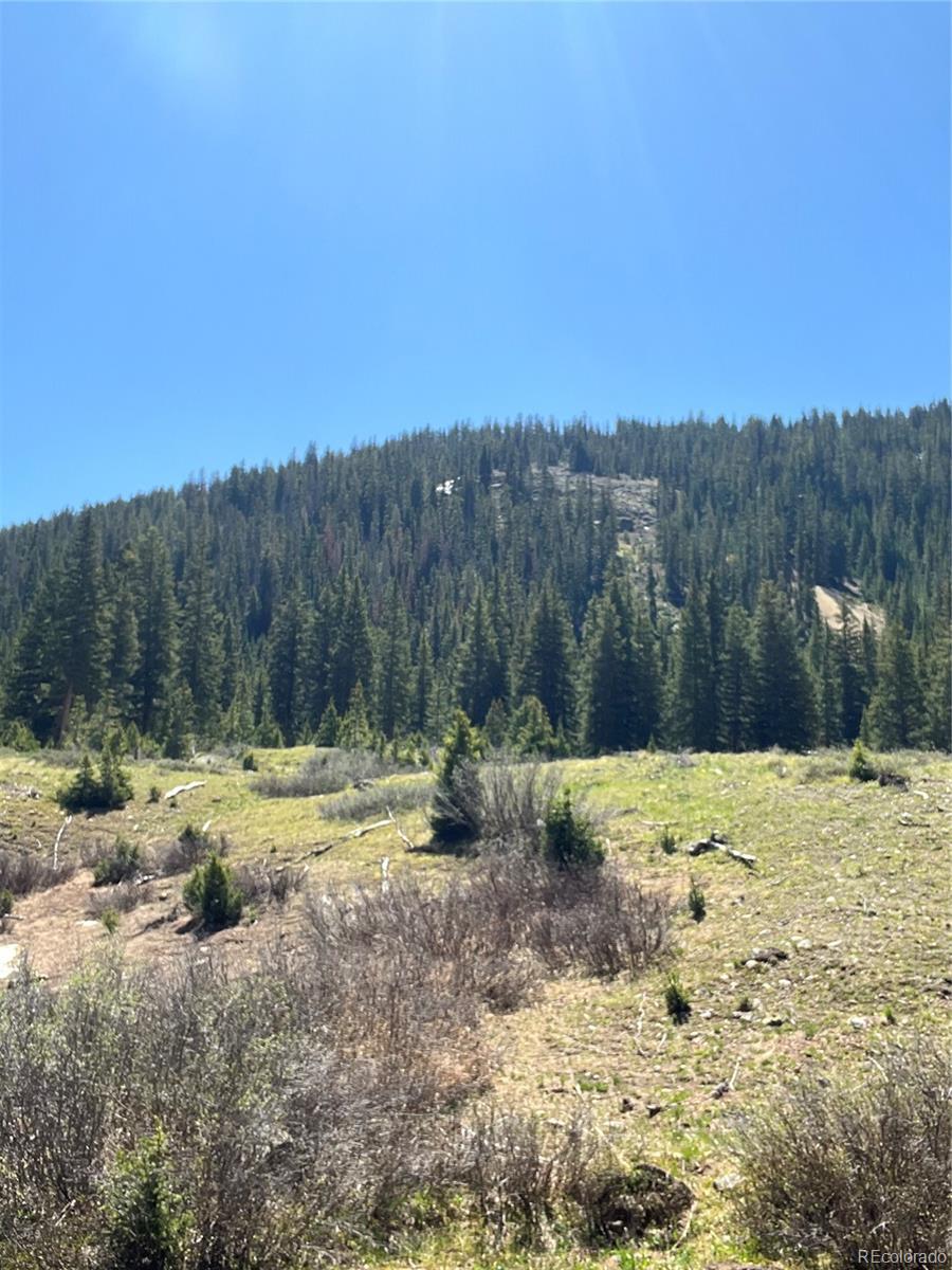 2711 Forest Queen Mc Buena Vista CO 81211
