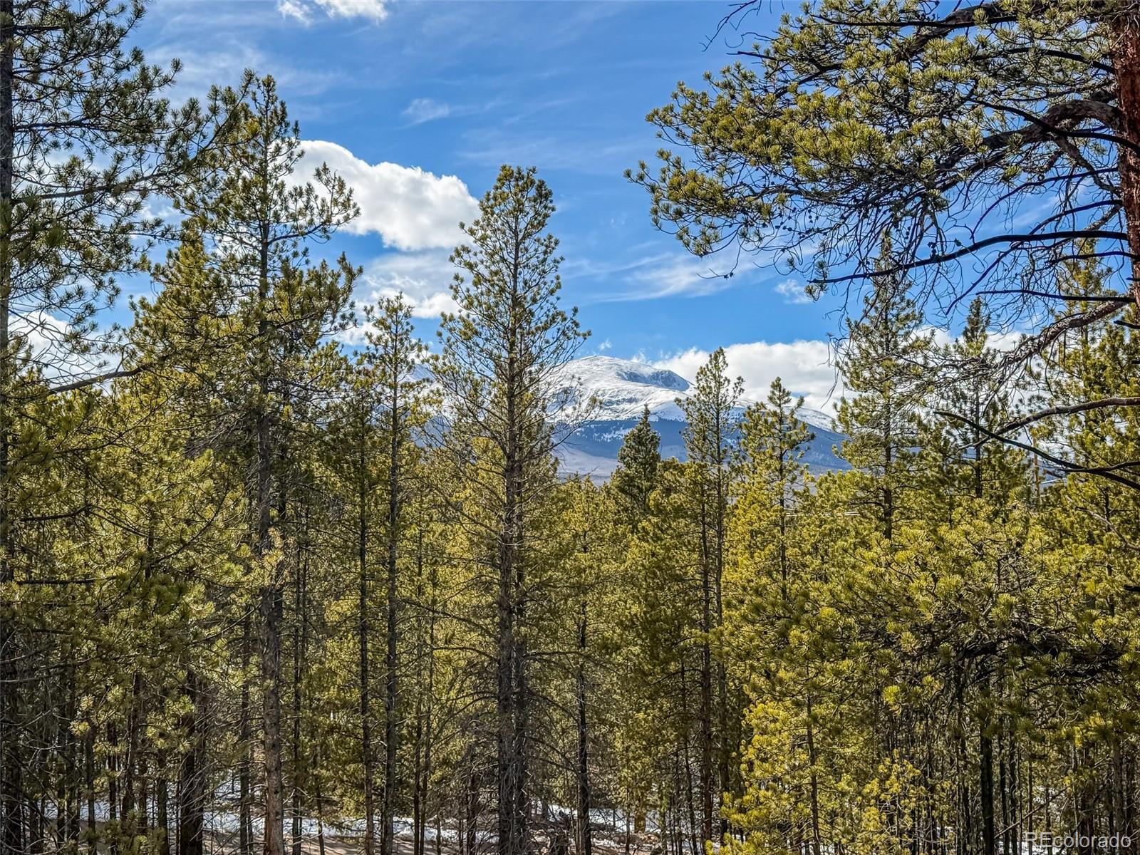 483 Mount Massive Road Twin Lakes CO 81251