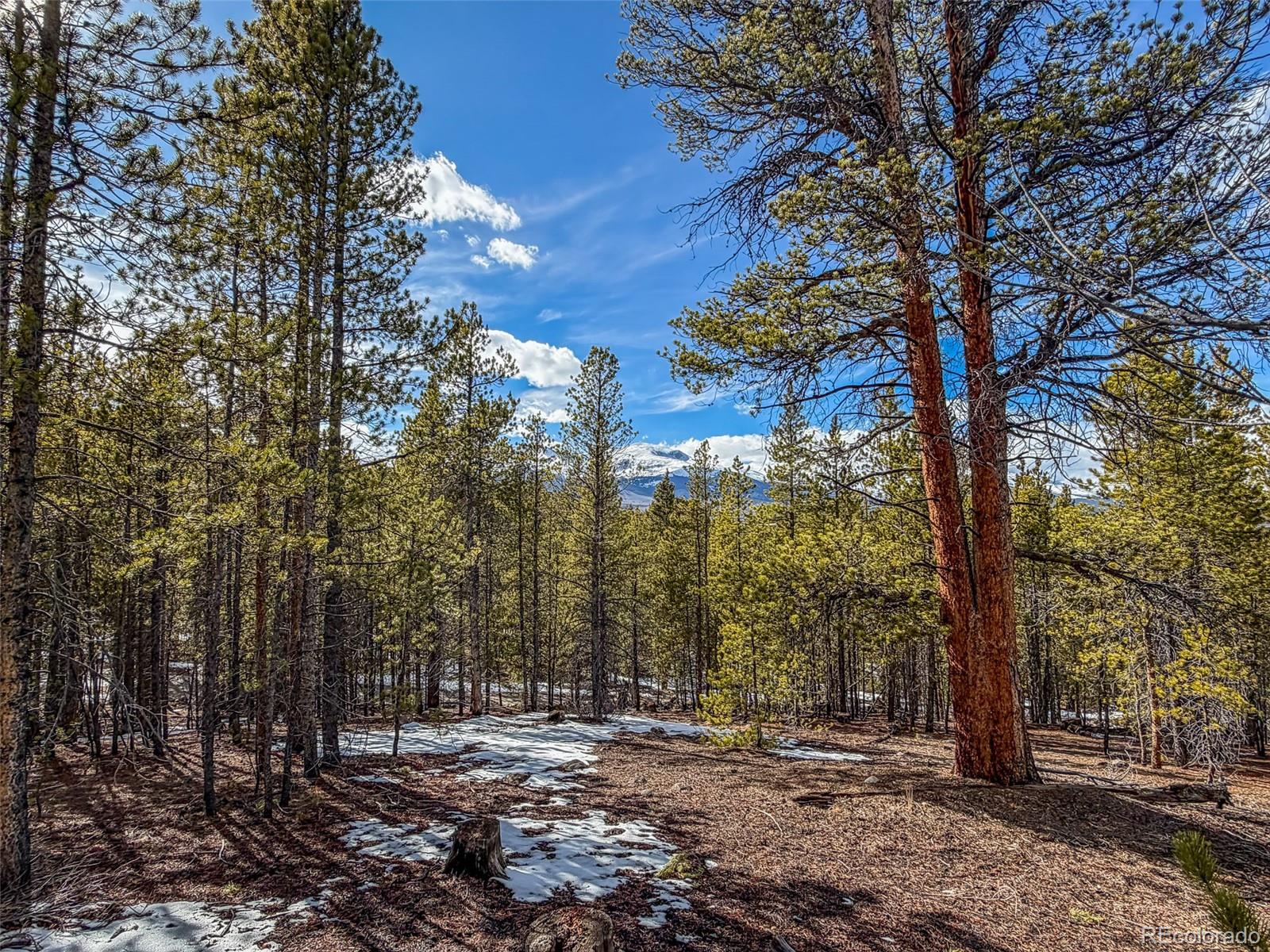 483 Mount Massive Road Twin Lakes CO 81251