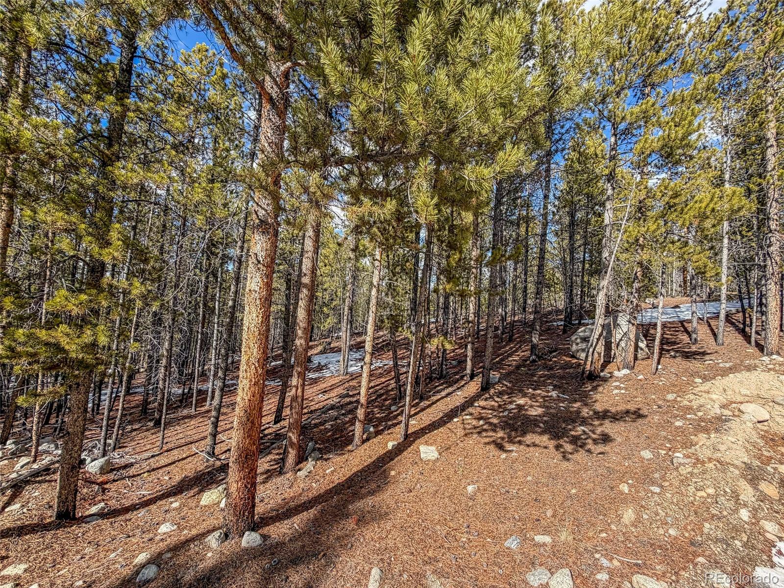 483 Mount Massive Road Twin Lakes CO 81251