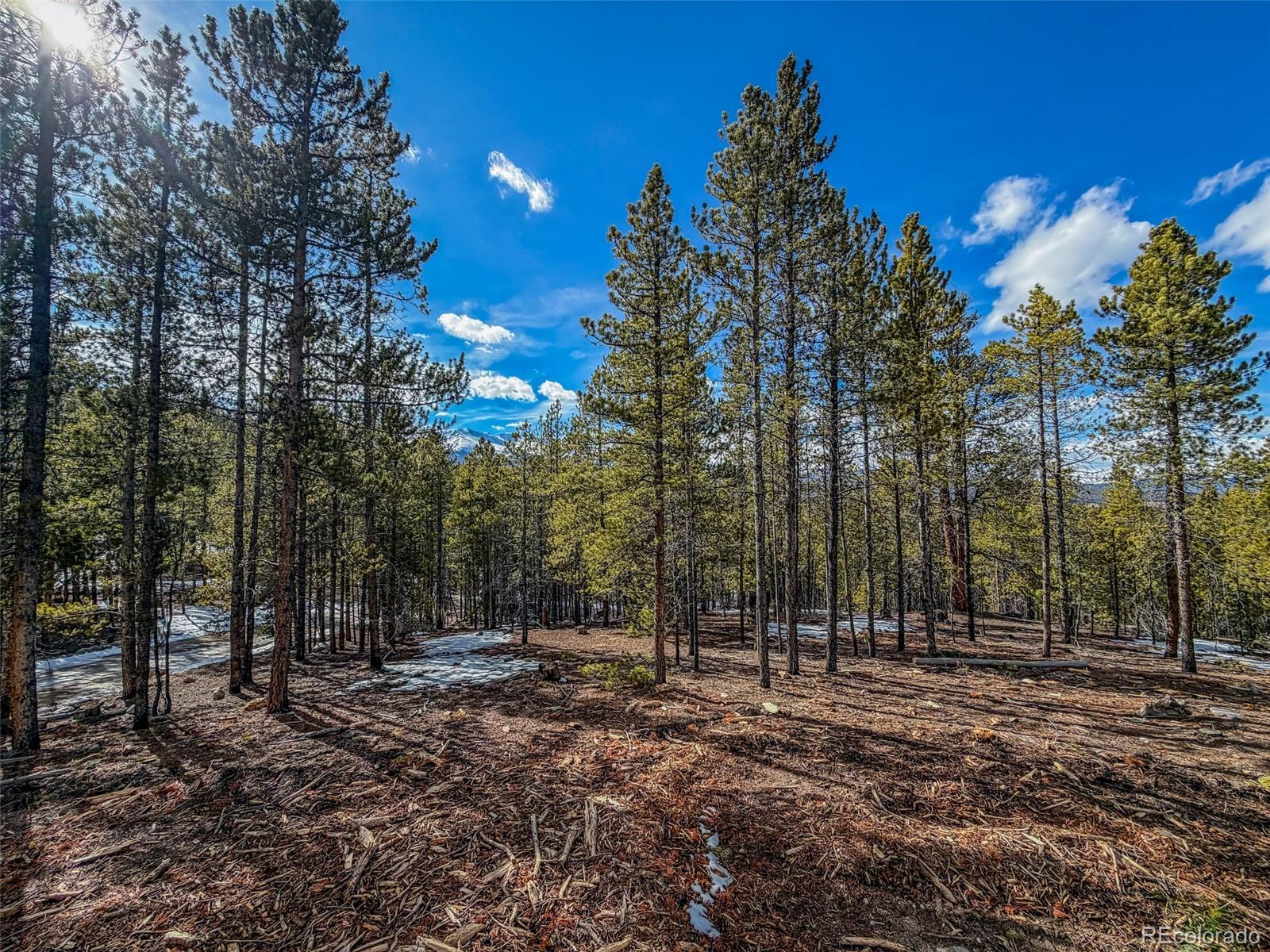 483 Mount Massive Road Twin Lakes CO 81251