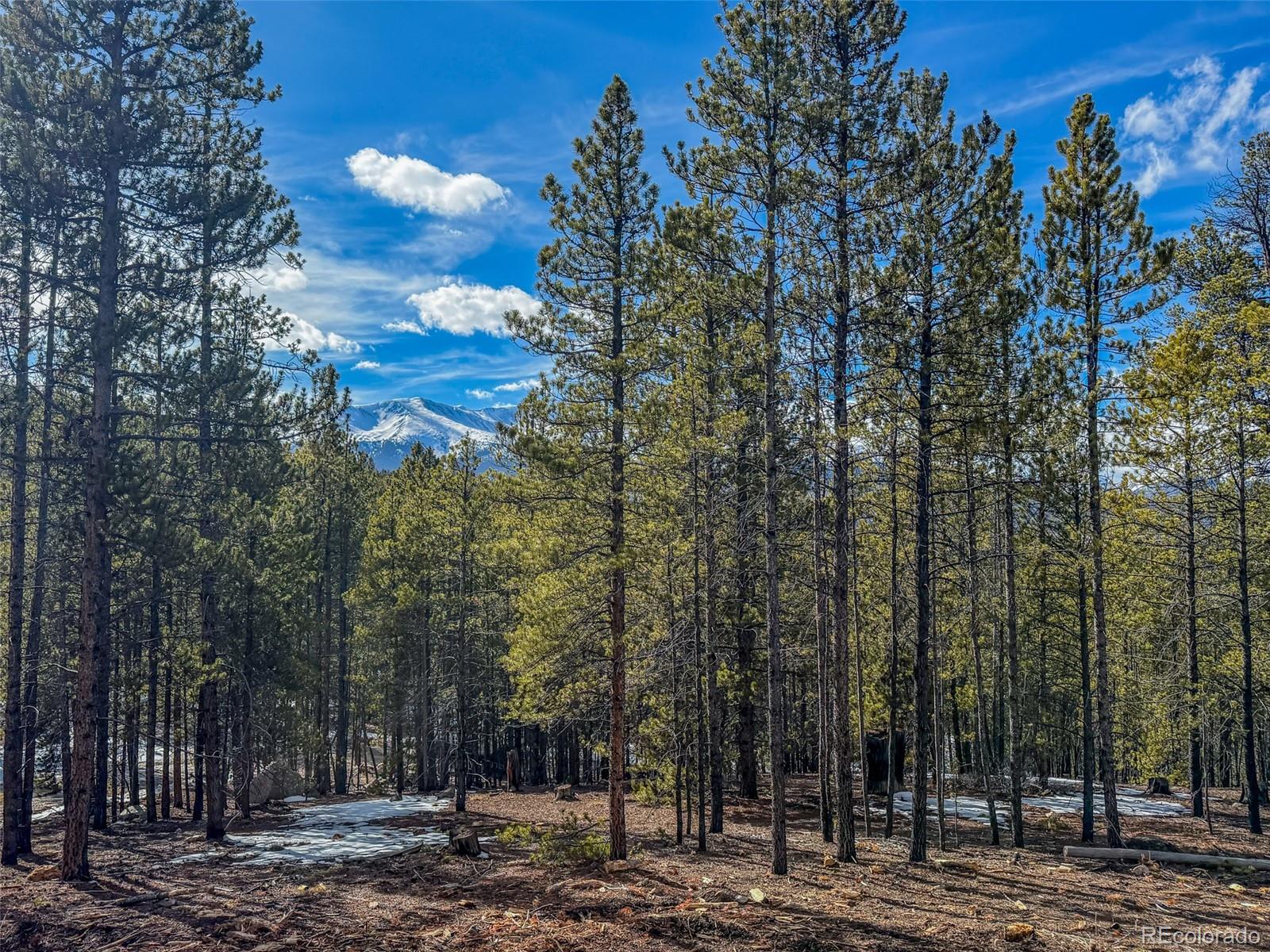483 Mount Massive Road Twin Lakes CO 81251