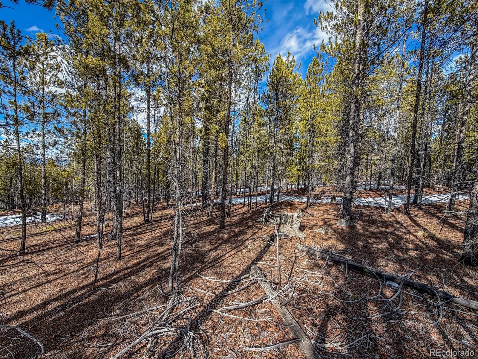 483 Mount Massive Road Twin Lakes CO 81251