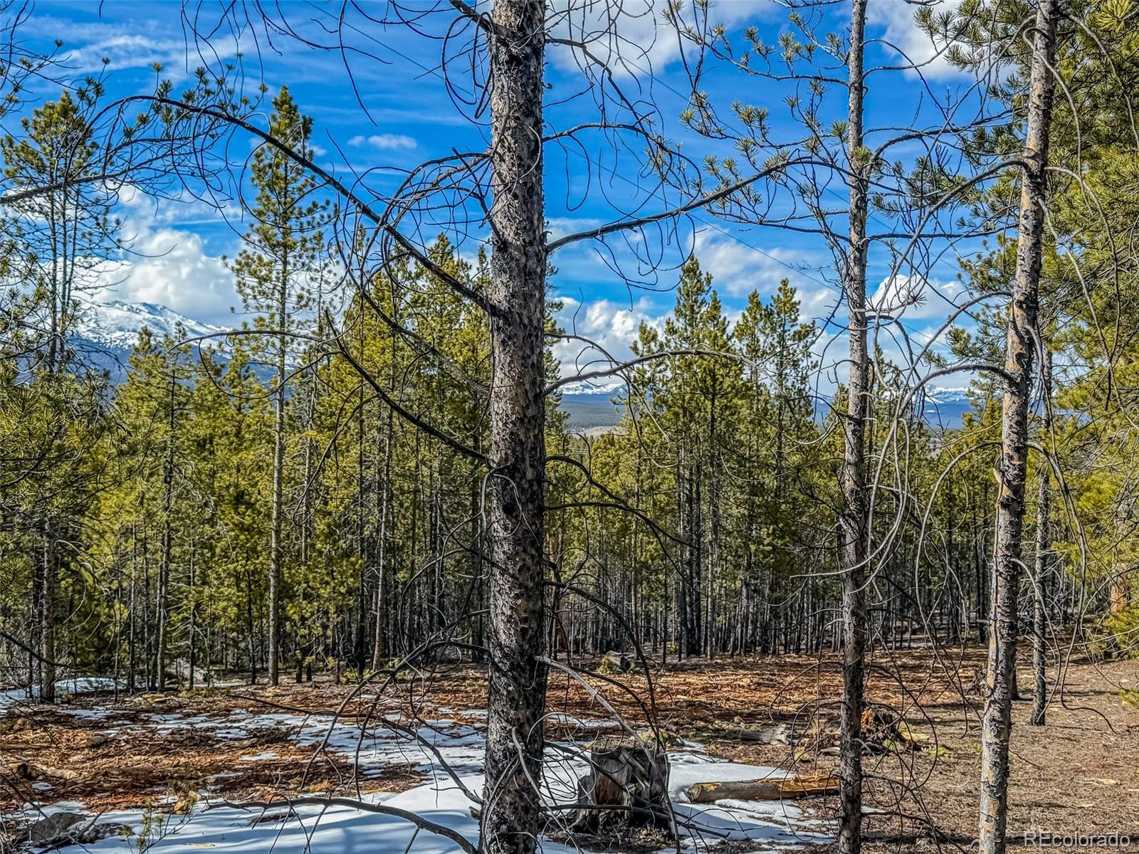 483 Mount Massive Road Twin Lakes CO 81251