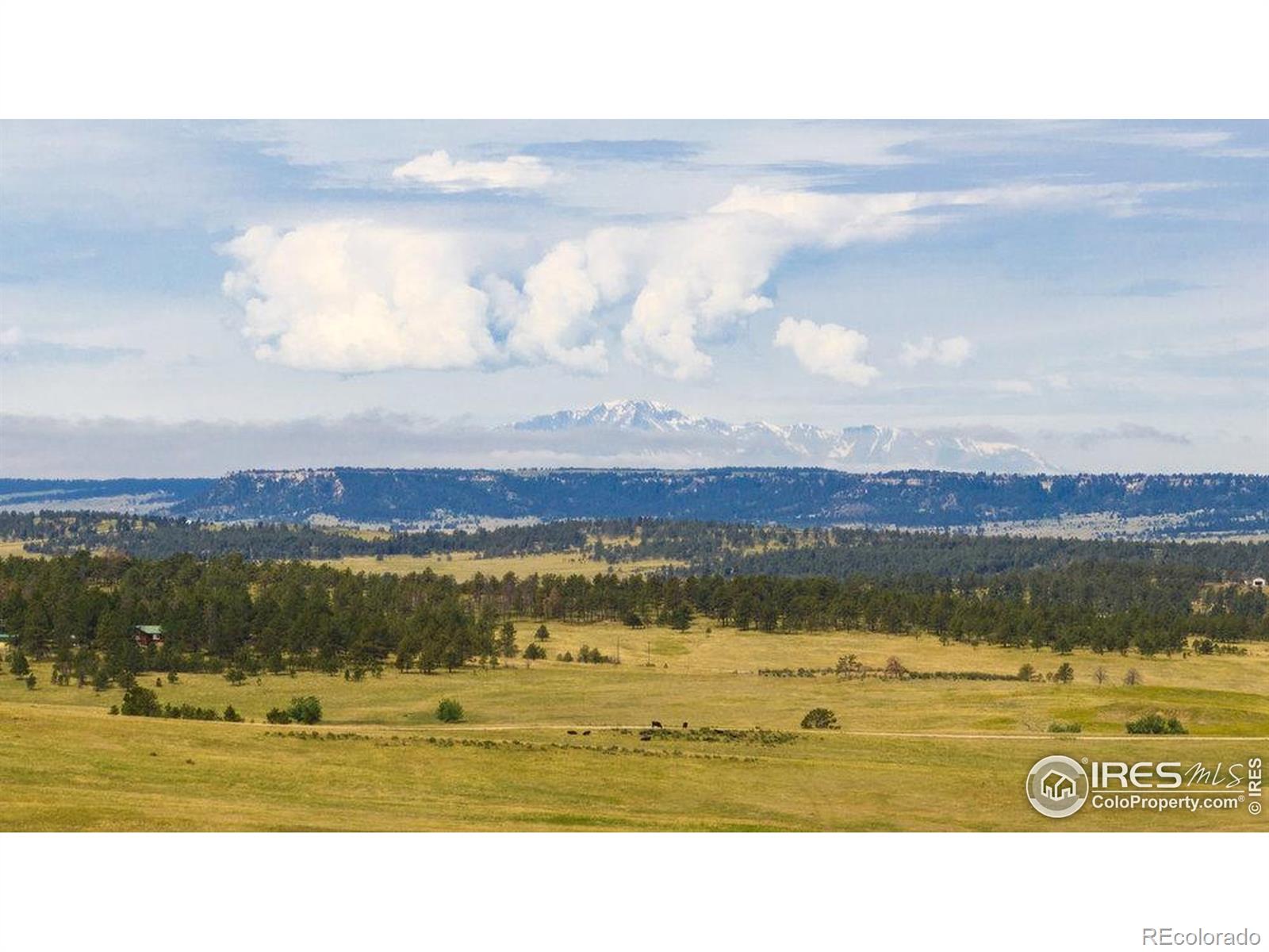 11 County Road 77 Calhan CO 80808