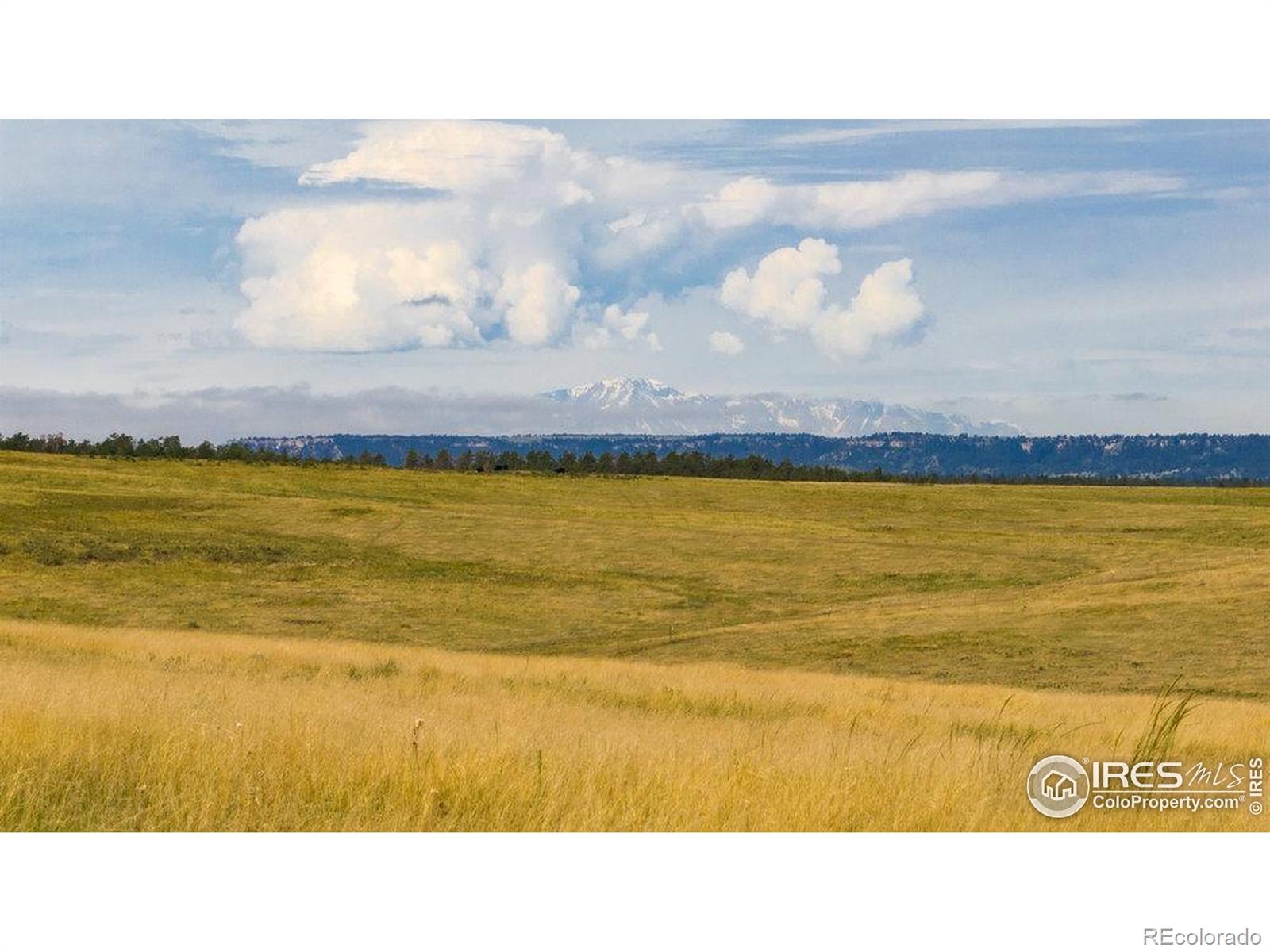 11 County Road 77 Calhan CO 80808