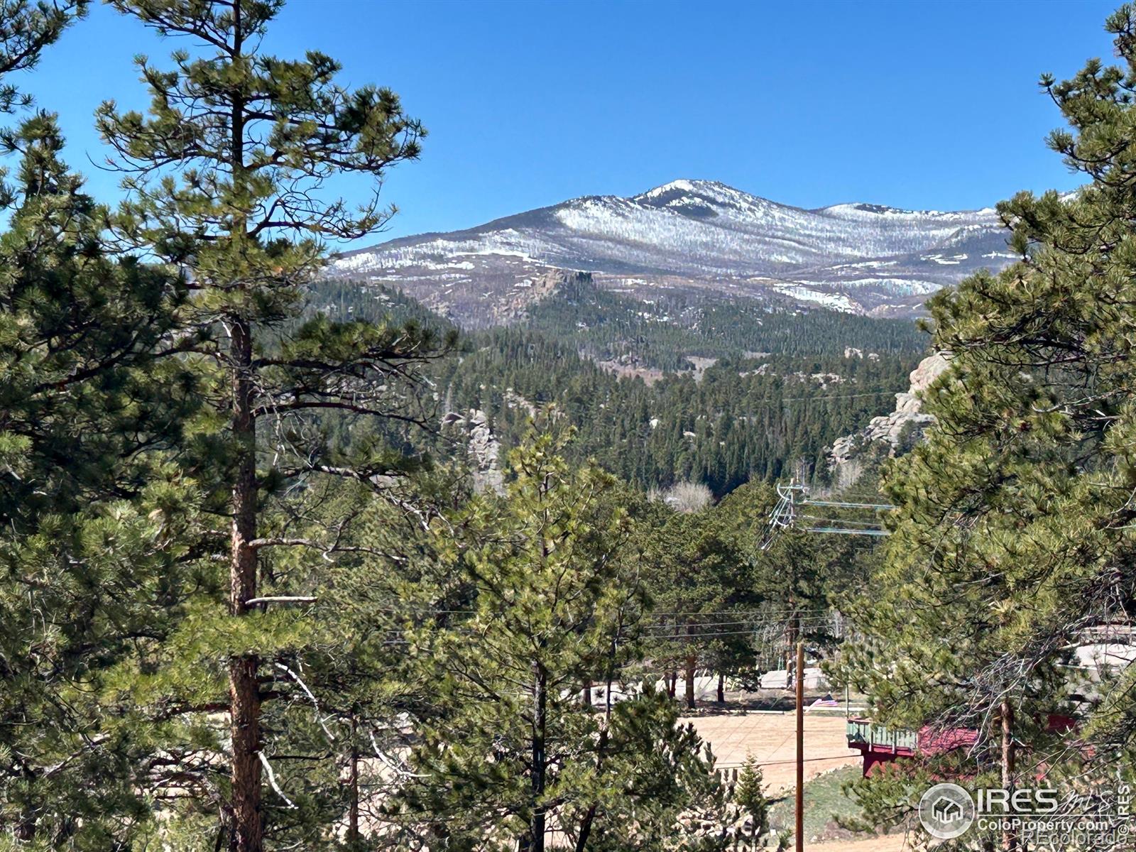 295 Piney Knolls Drive Red Feather Lakes CO 80545