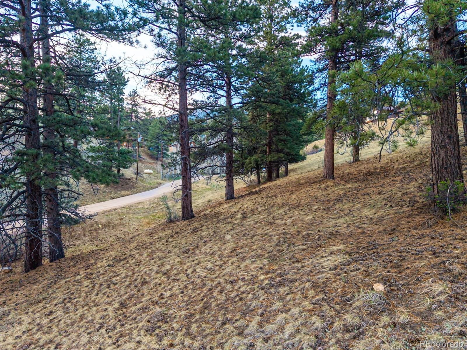 156 E Cline Drive Shawnee CO 80475