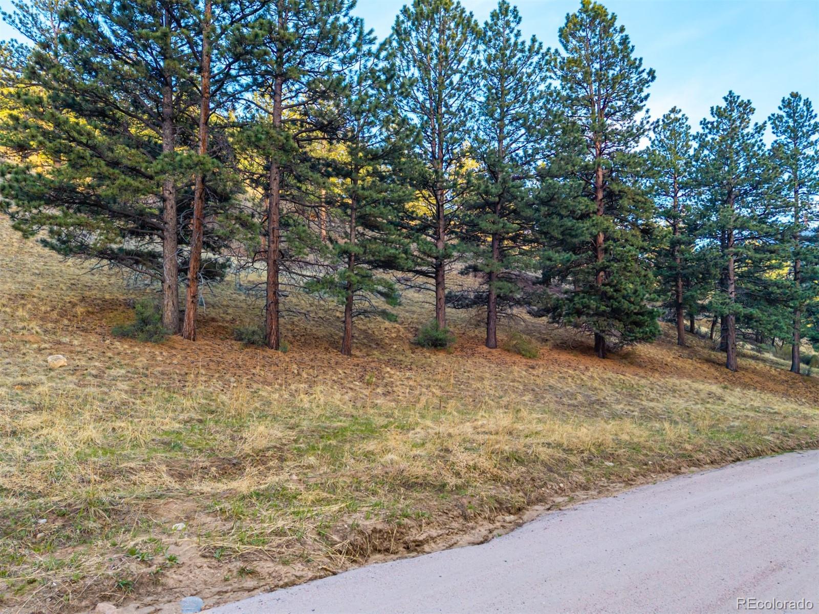 156 E Cline Drive Shawnee CO 80475