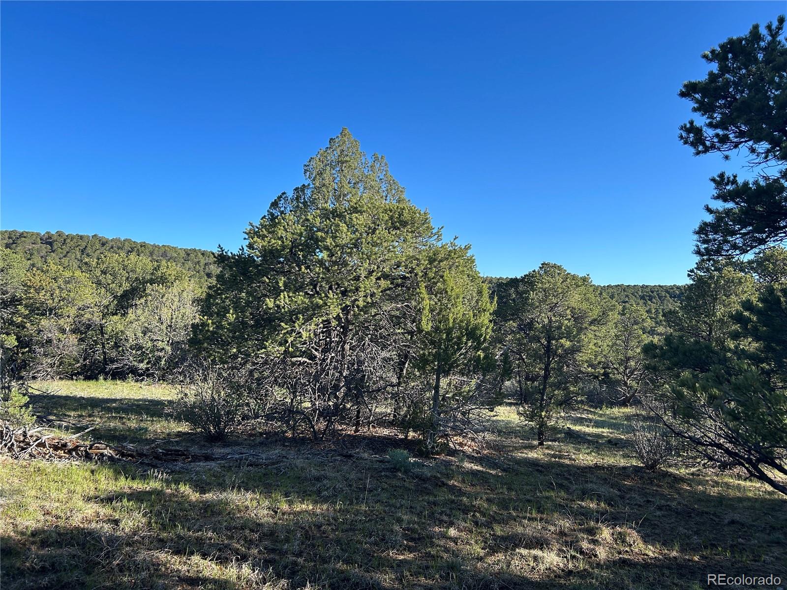 Lot 165 Silver Spurs Ranch Walsenburg CO 81089