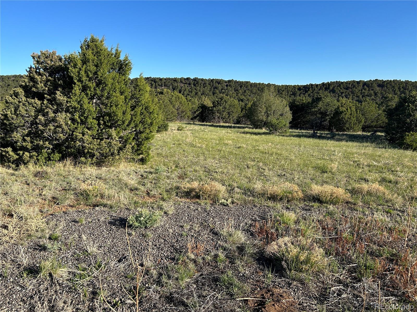 Lot 165 Silver Spurs Ranch Walsenburg CO 81089