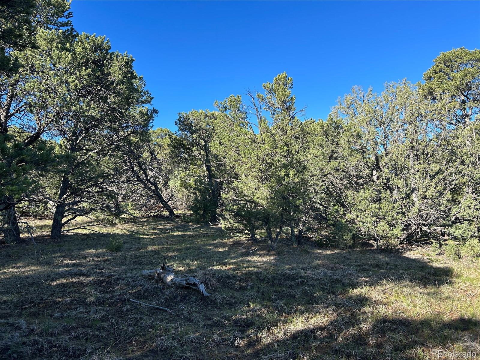 Lot 165 Silver Spurs Ranch Walsenburg CO 81089