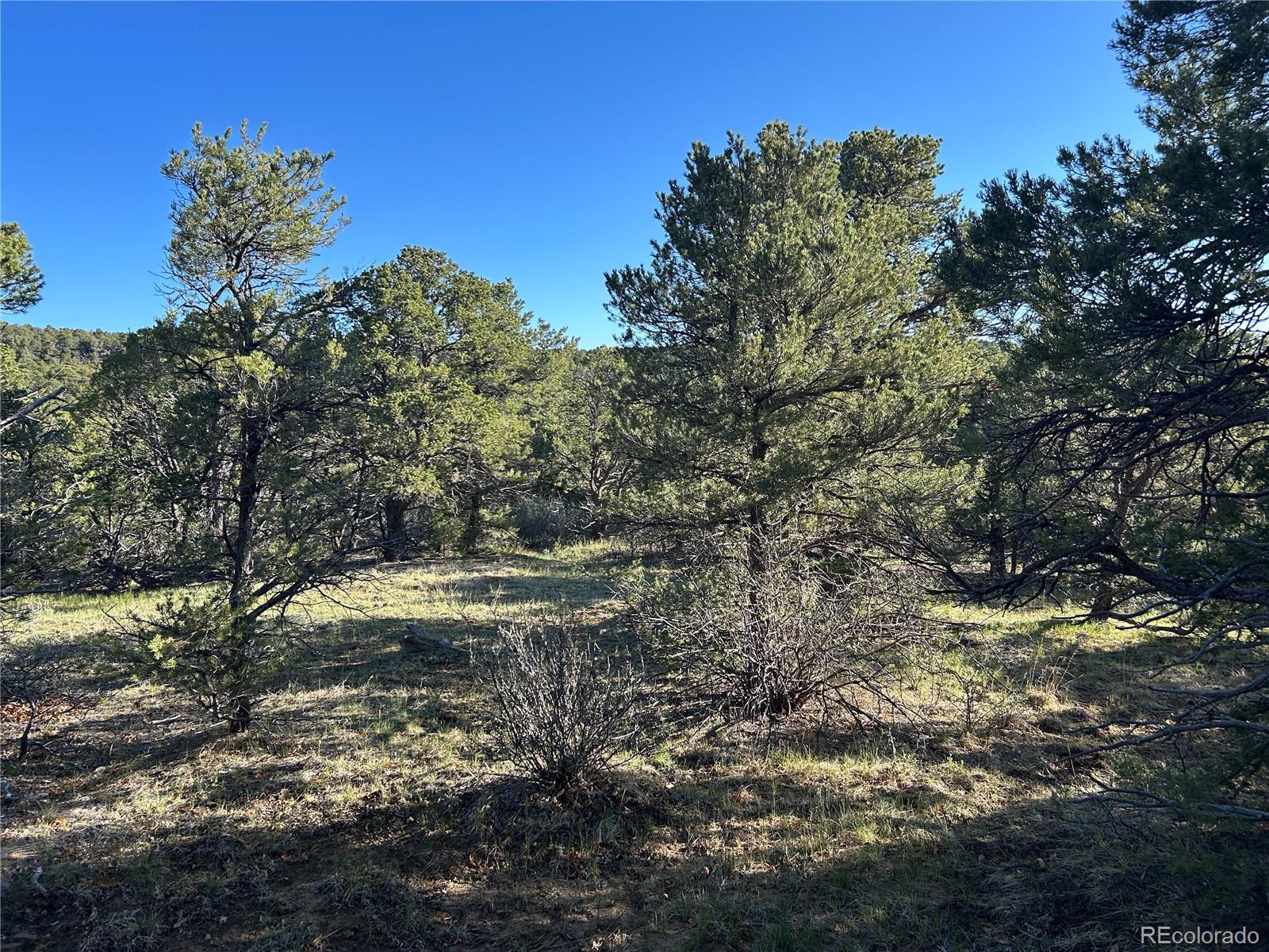 Lot 165 Silver Spurs Ranch Walsenburg CO 81089