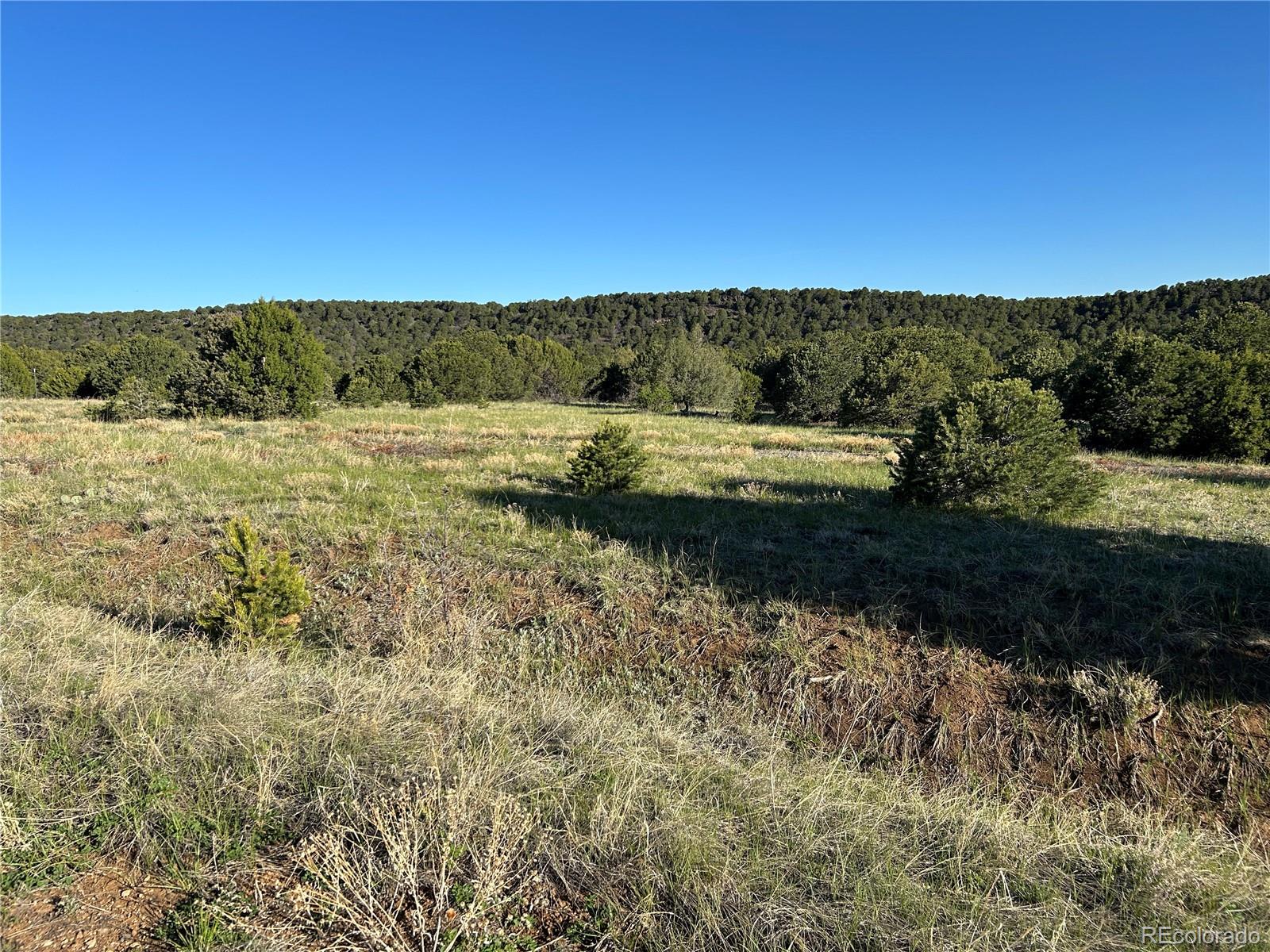 Lot 165 Silver Spurs Ranch Walsenburg CO 81089