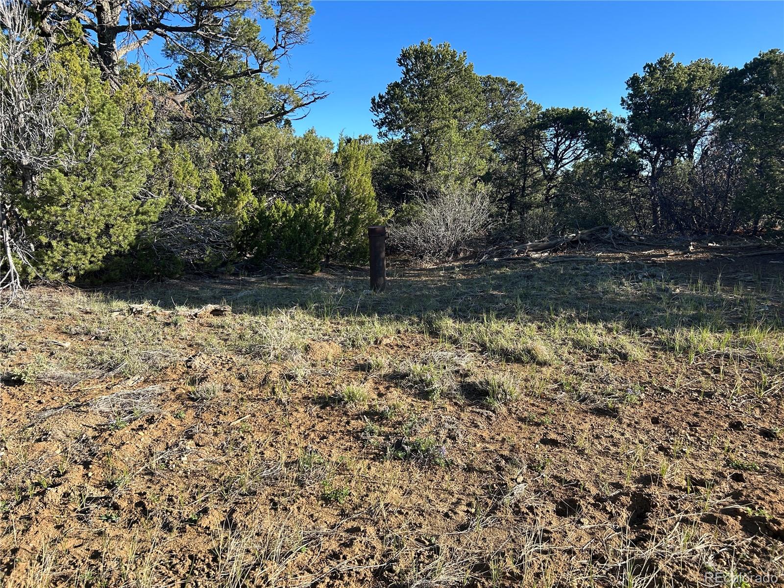 Lot 165 Silver Spurs Ranch Walsenburg CO 81089