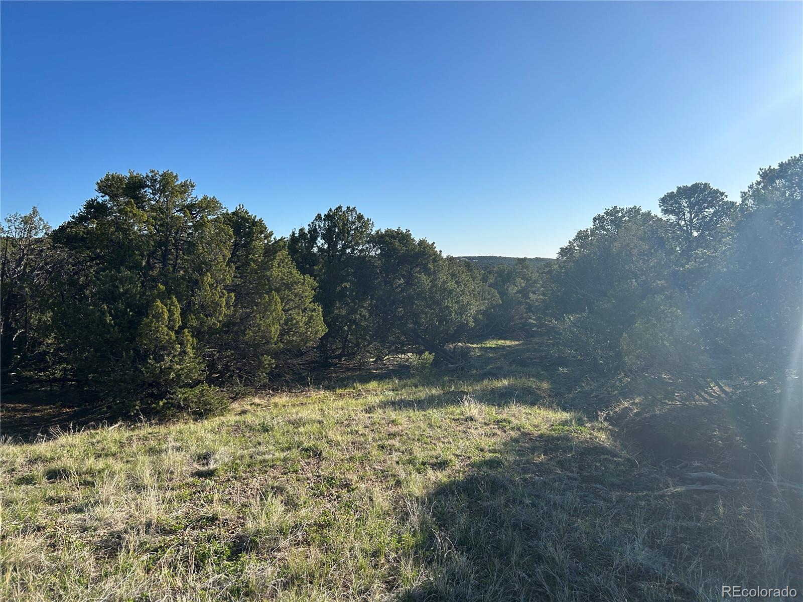 Lot 165 Silver Spurs Ranch Walsenburg CO 81089