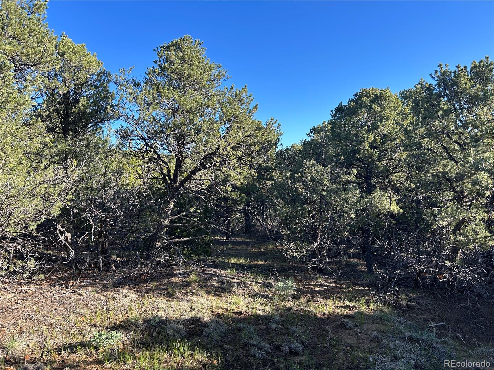Lot 165 Silver Spurs Ranch Walsenburg CO 81089
