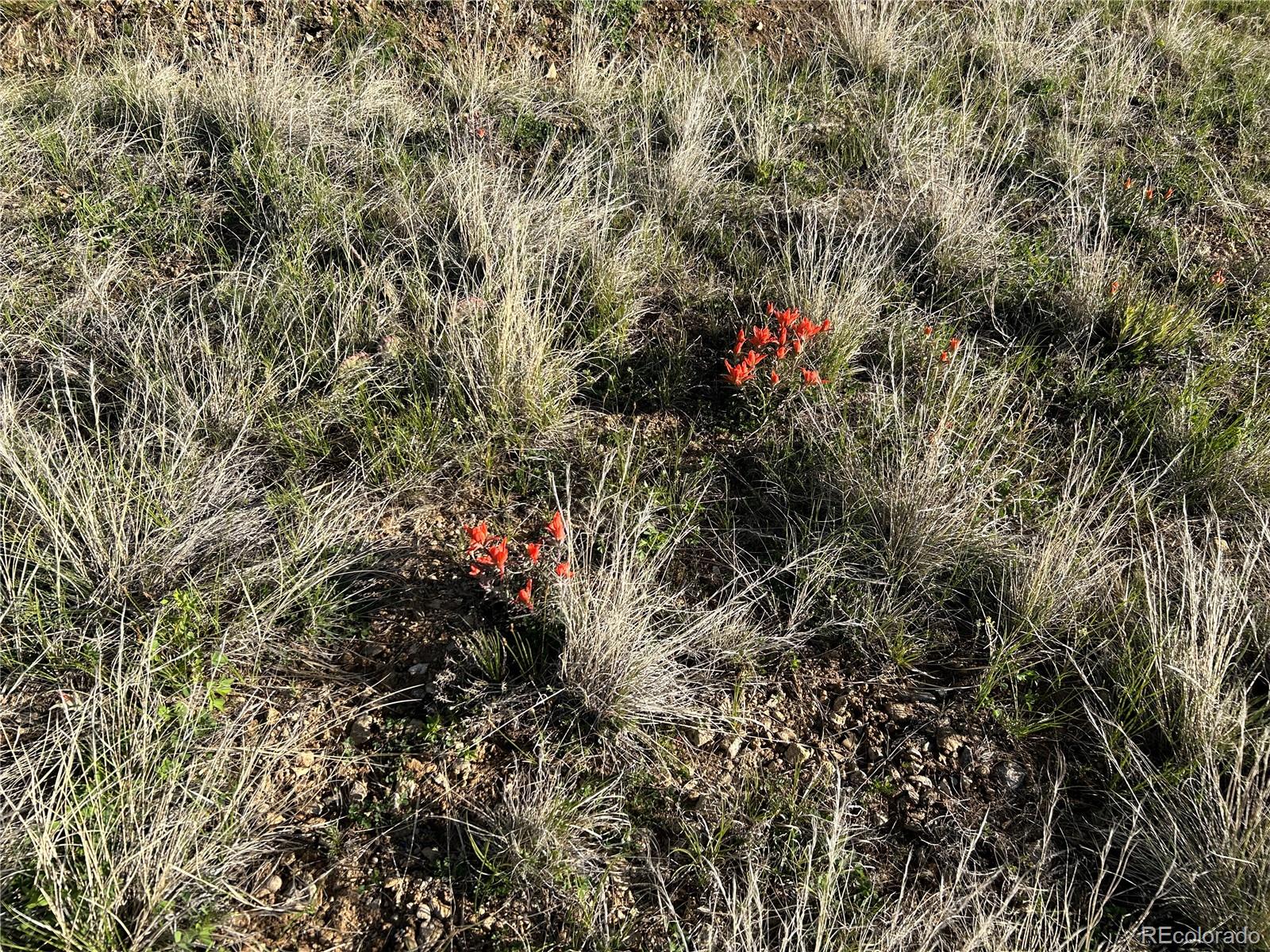 Lot 165 Silver Spurs Ranch Walsenburg CO 81089
