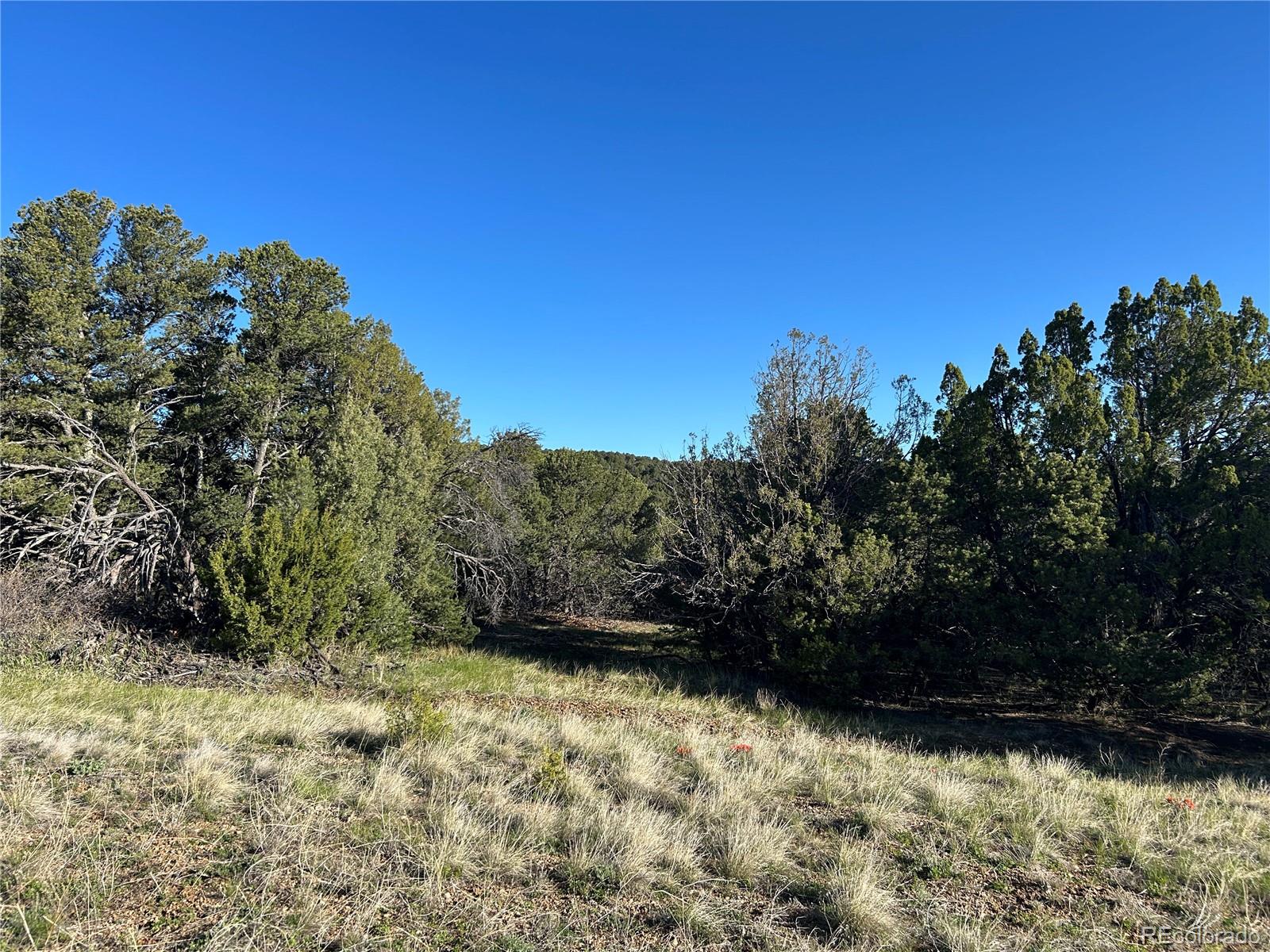 Lot 165 Silver Spurs Ranch Walsenburg CO 81089