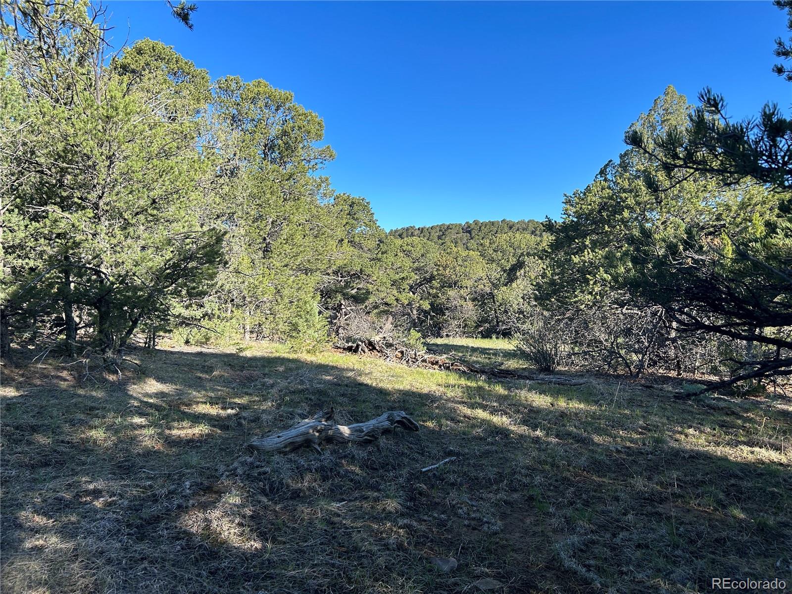 Lot 165 Silver Spurs Ranch Walsenburg CO 81089