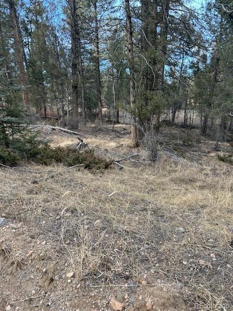 12887 S Cindy Avenue Pine CO 80470