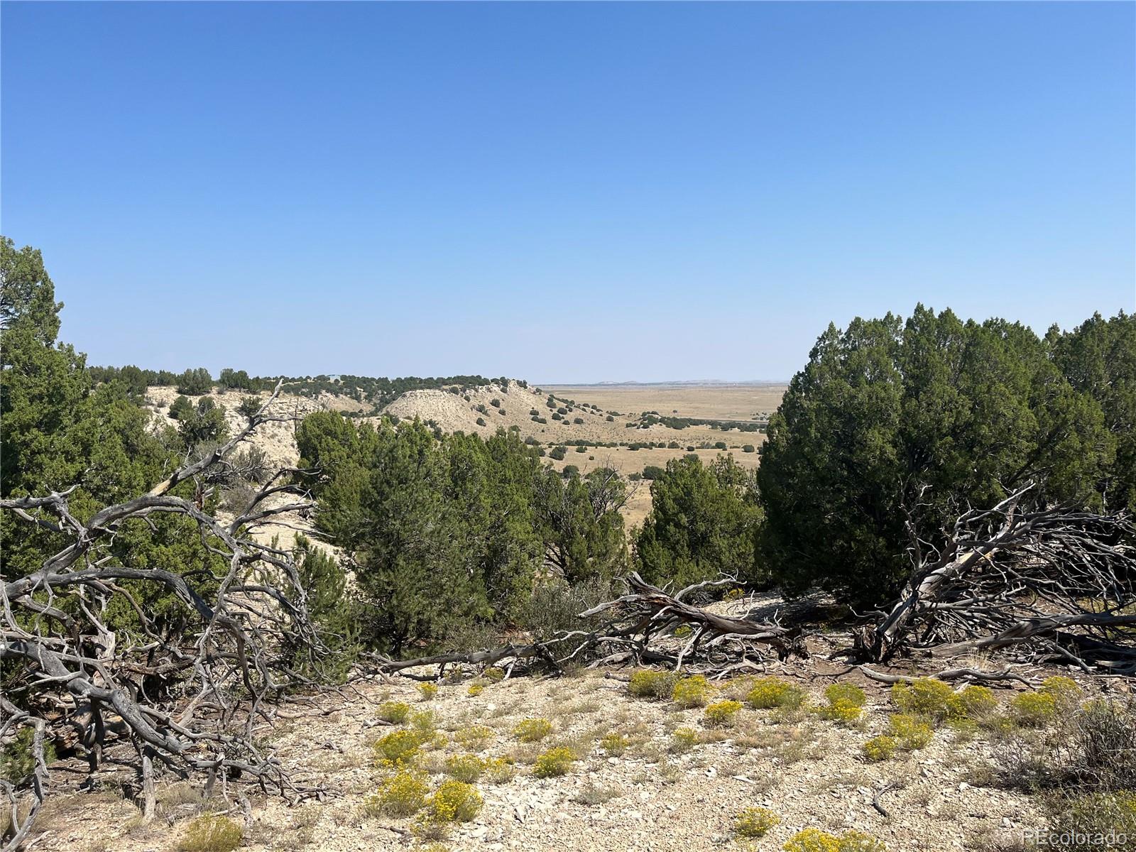 Par 90 Railroad Springs Road Pueblo CO 81004